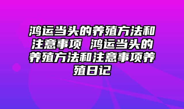 鸿运当头的养殖方法和注意事项 鸿运当头的养殖方法和注意事项养殖日记