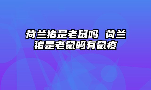 荷兰猪是老鼠吗 荷兰猪是老鼠吗有鼠疫