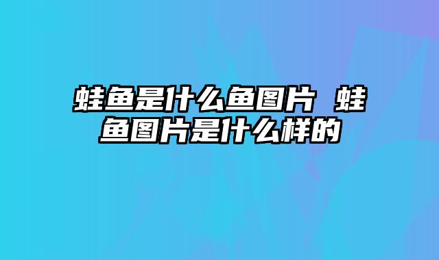 蛙鱼是什么鱼图片 蛙鱼图片是什么样的