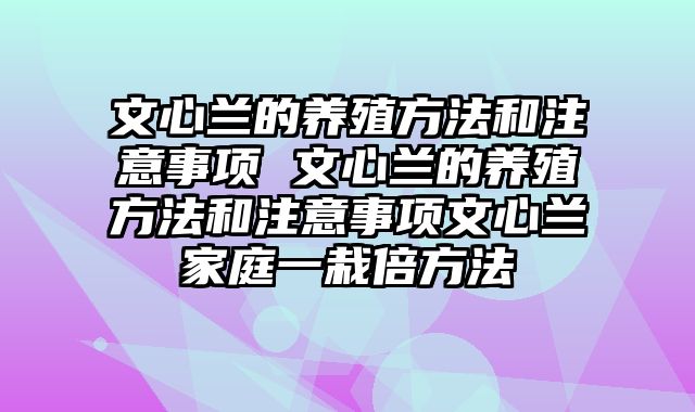 文心兰的养殖方法和注意事项 文心兰的养殖方法和注意事项文心兰家庭一栽倍方法