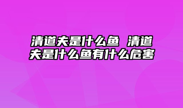 清道夫是什么鱼 清道夫是什么鱼有什么危害