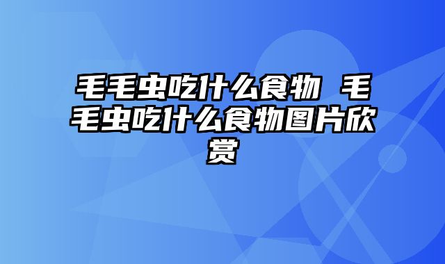 毛毛虫吃什么食物 毛毛虫吃什么食物图片欣赏