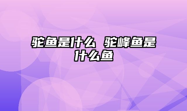 驼鱼是什么 驼峰鱼是什么鱼