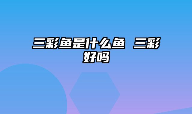 三彩鱼是什么鱼 三彩好吗