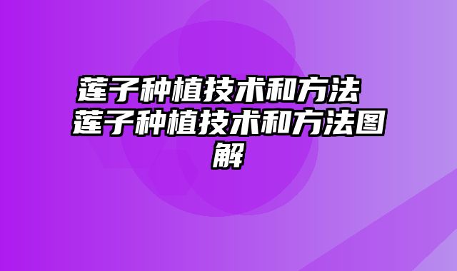 莲子种植技术和方法 莲子种植技术和方法图解