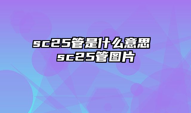 sc25管是什么意思 sc25管图片