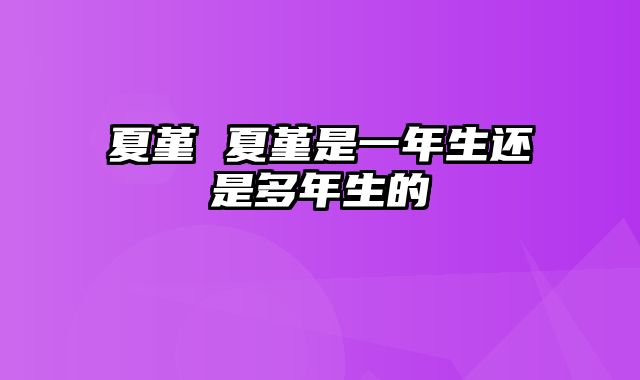 夏堇 夏堇是一年生还是多年生的