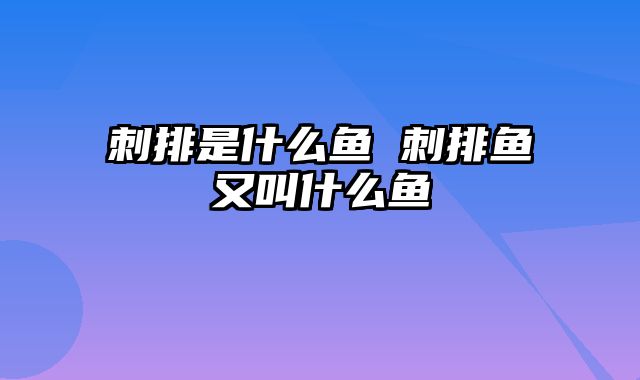 刺排是什么鱼 刺排鱼又叫什么鱼