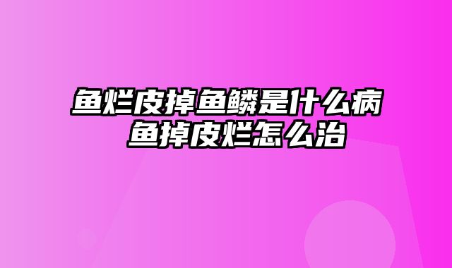 鱼烂皮掉鱼鳞是什么病 鱼掉皮烂怎么治