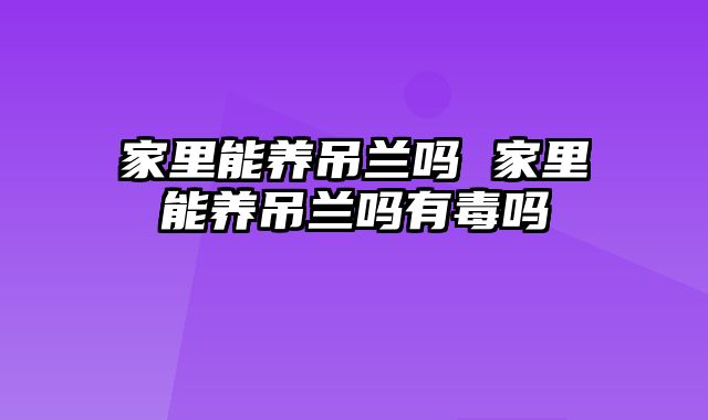 家里能养吊兰吗 家里能养吊兰吗有毒吗