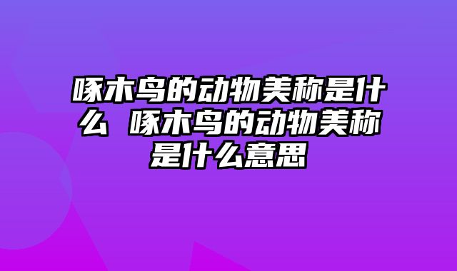 啄木鸟的动物美称是什么 啄木鸟的动物美称是什么意思