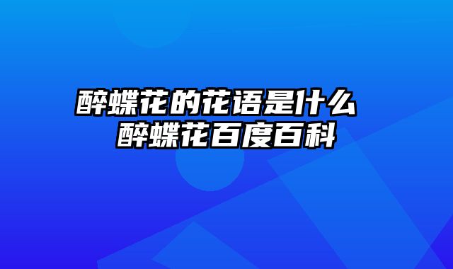 醉蝶花的花语是什么 醉蝶花百度百科