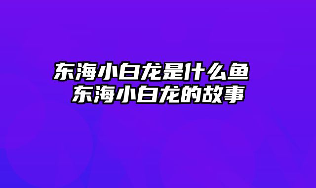 东海小白龙是什么鱼 东海小白龙的故事