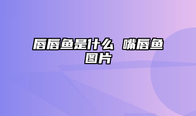 唇唇鱼是什么 嘴唇鱼图片