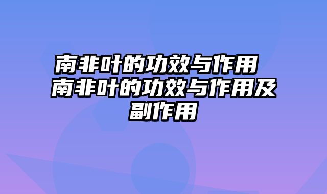 南非叶的功效与作用 南非叶的功效与作用及副作用