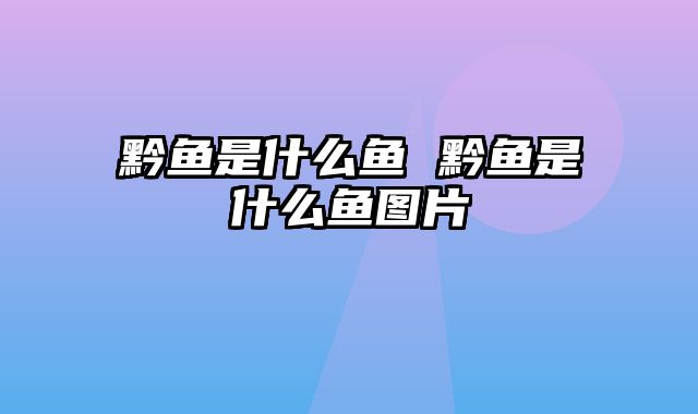 黔鱼是什么鱼 黔鱼是什么鱼图片