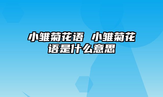 小雏菊花语 小雏菊花语是什么意思