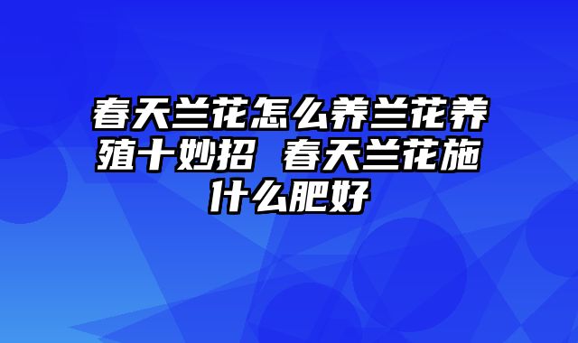 春天兰花怎么养兰花养殖十妙招 春天兰花施什么肥好