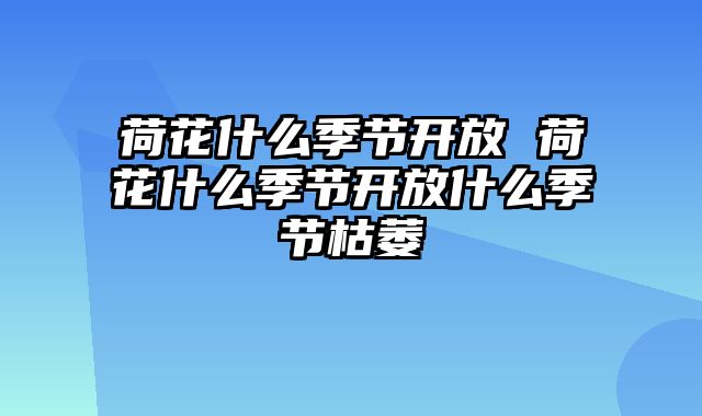 荷花什么季节开放 荷花什么季节开放什么季节枯萎