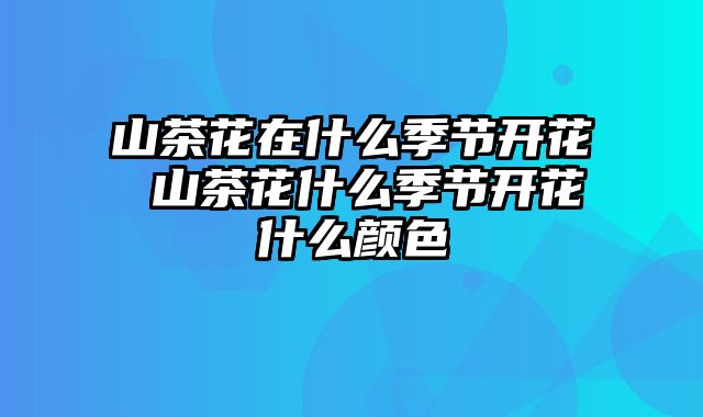 山茶花在什么季节开花 山茶花什么季节开花什么颜色