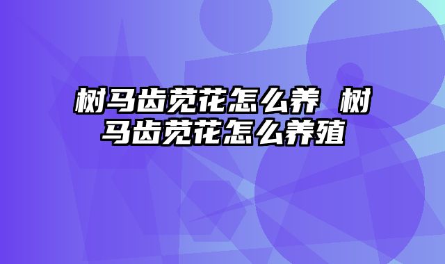 树马齿苋花怎么养 树马齿苋花怎么养殖