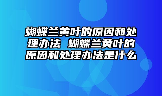 蝴蝶兰黄叶的原因和处理办法 蝴蝶兰黄叶的原因和处理办法是什么