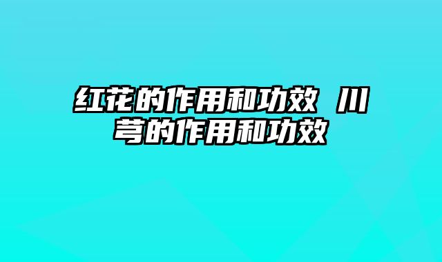 红花的作用和功效 川芎的作用和功效
