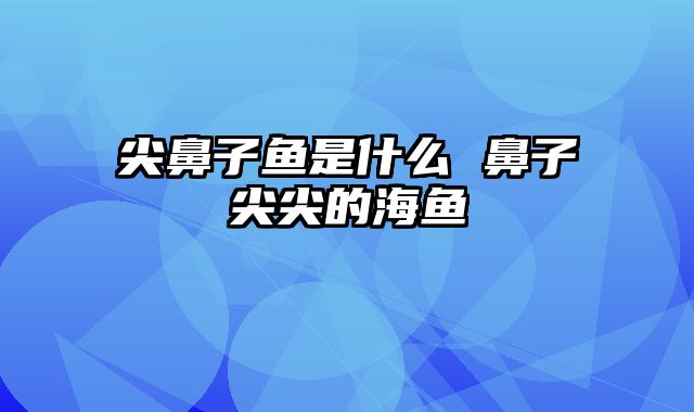 尖鼻子鱼是什么 鼻子尖尖的海鱼