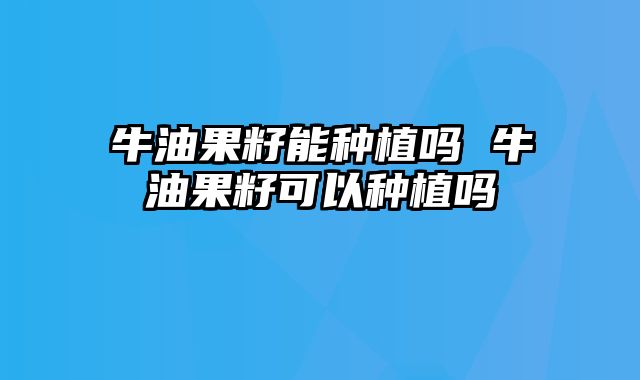 牛油果籽能种植吗 牛油果籽可以种植吗
