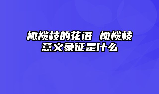 橄榄枝的花语 橄榄枝意义象征是什么