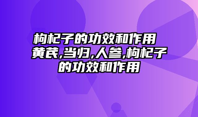 枸杞子的功效和作用 黄芪,当归,人参,枸杞子的功效和作用