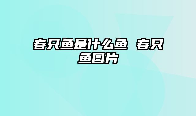 春只鱼是什么鱼 春只鱼图片