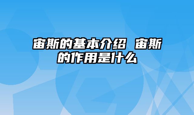 宙斯的基本介绍 宙斯的作用是什么