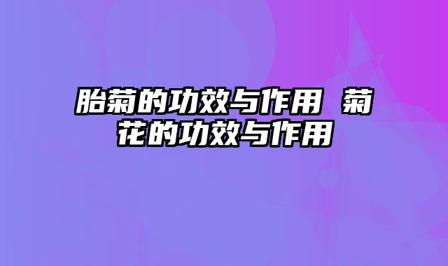 胎菊的功效与作用 菊花的功效与作用