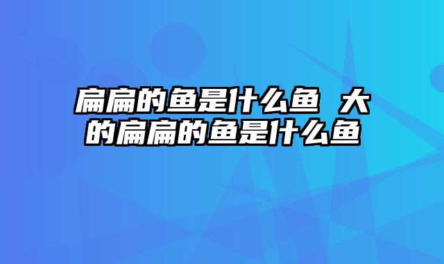 扁扁的鱼是什么鱼 大的扁扁的鱼是什么鱼
