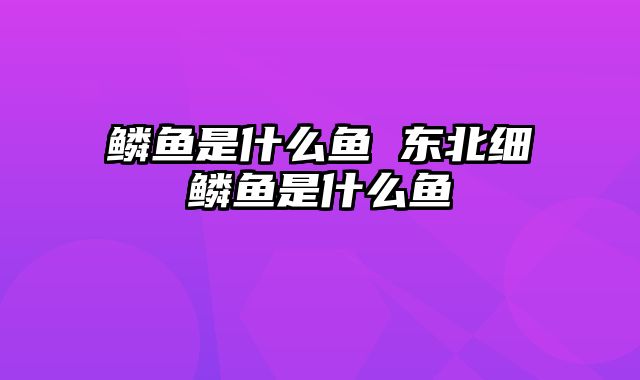 鳞鱼是什么鱼 东北细鳞鱼是什么鱼