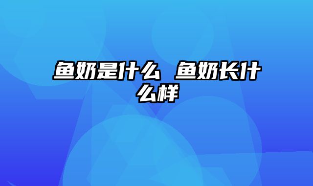 鱼奶是什么 鱼奶长什么样