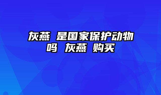 灰燕鵙是国家保护动物吗 灰燕鵙购买