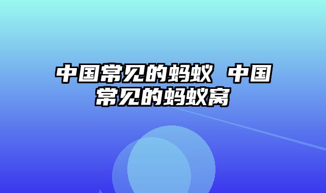 中国常见的蚂蚁 中国常见的蚂蚁窝