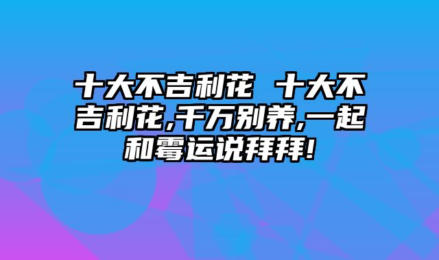 十大不吉利花 十大不吉利花,千万别养,一起和霉运说拜拜!