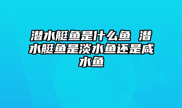 潜水艇鱼是什么鱼 潜水艇鱼是淡水鱼还是咸水鱼