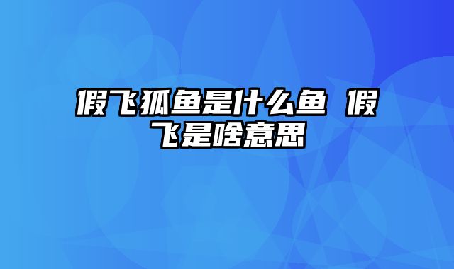 假飞狐鱼是什么鱼 假飞是啥意思