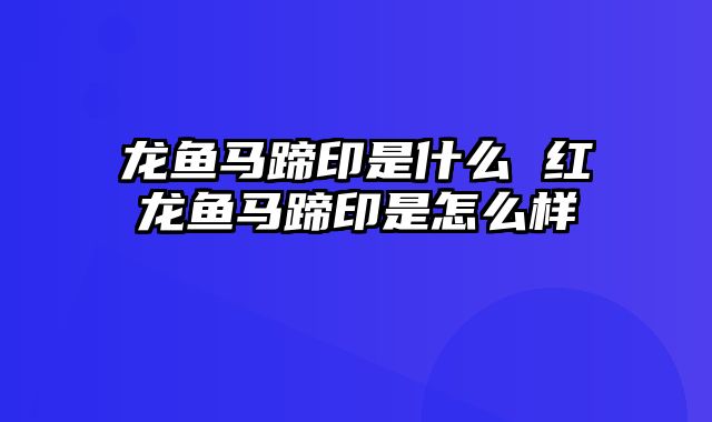 龙鱼马蹄印是什么 红龙鱼马蹄印是怎么样