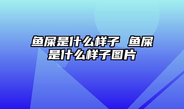 鱼屎是什么样子 鱼屎是什么样子图片