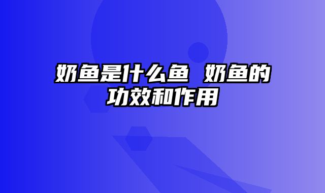 奶鱼是什么鱼 奶鱼的功效和作用