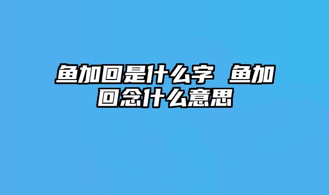 鱼加回是什么字 鱼加回念什么意思