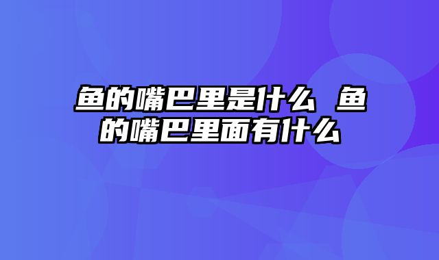 鱼的嘴巴里是什么 鱼的嘴巴里面有什么