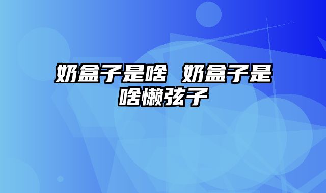 奶盒子是啥 奶盒子是啥懒弦子