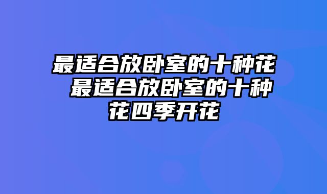 最适合放卧室的十种花 最适合放卧室的十种花四季开花