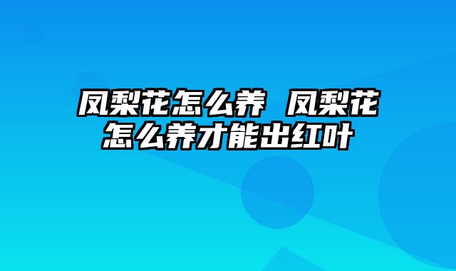 凤梨花怎么养 凤梨花怎么养才能出红叶